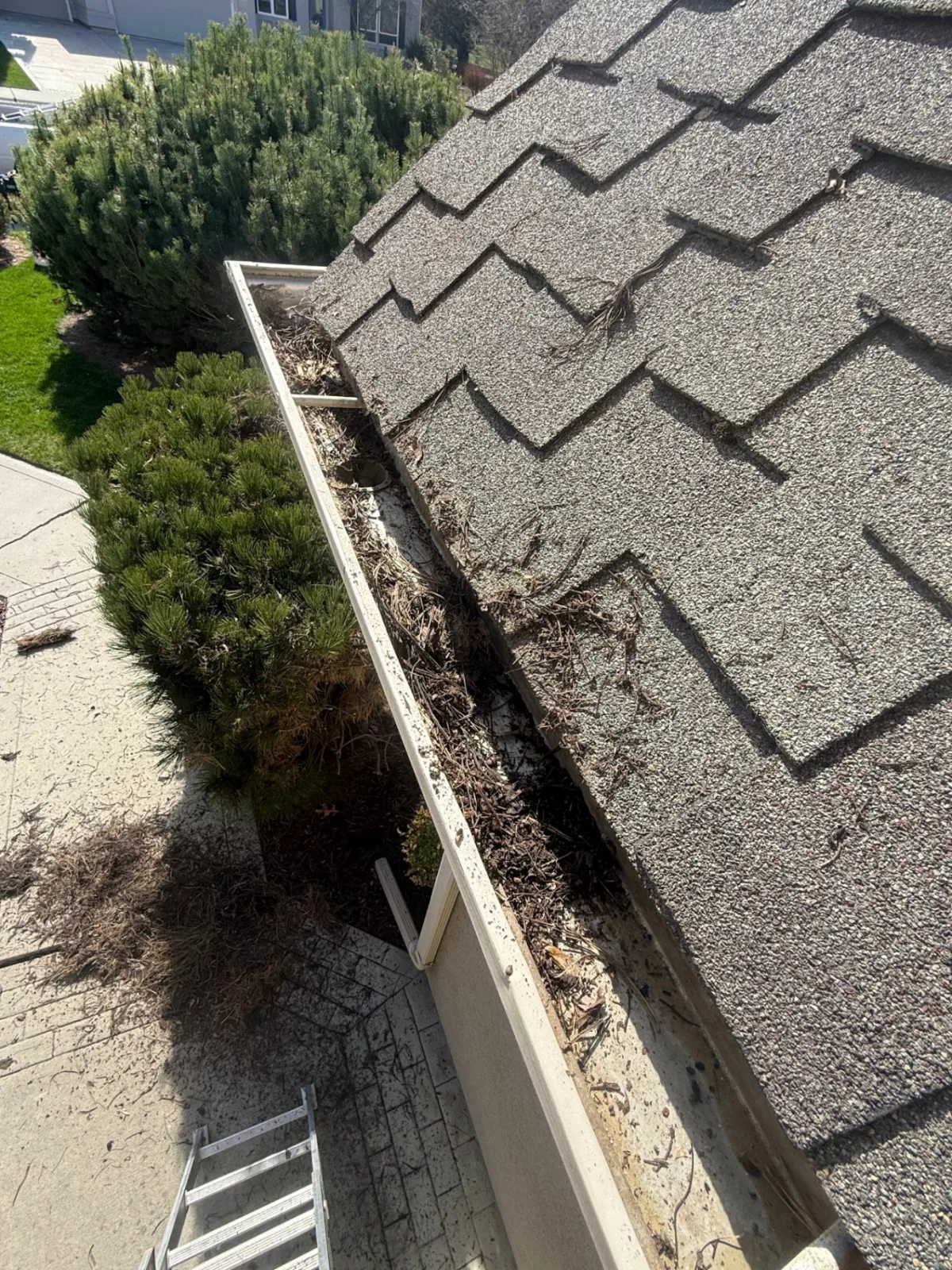 Heavy Debris Removal