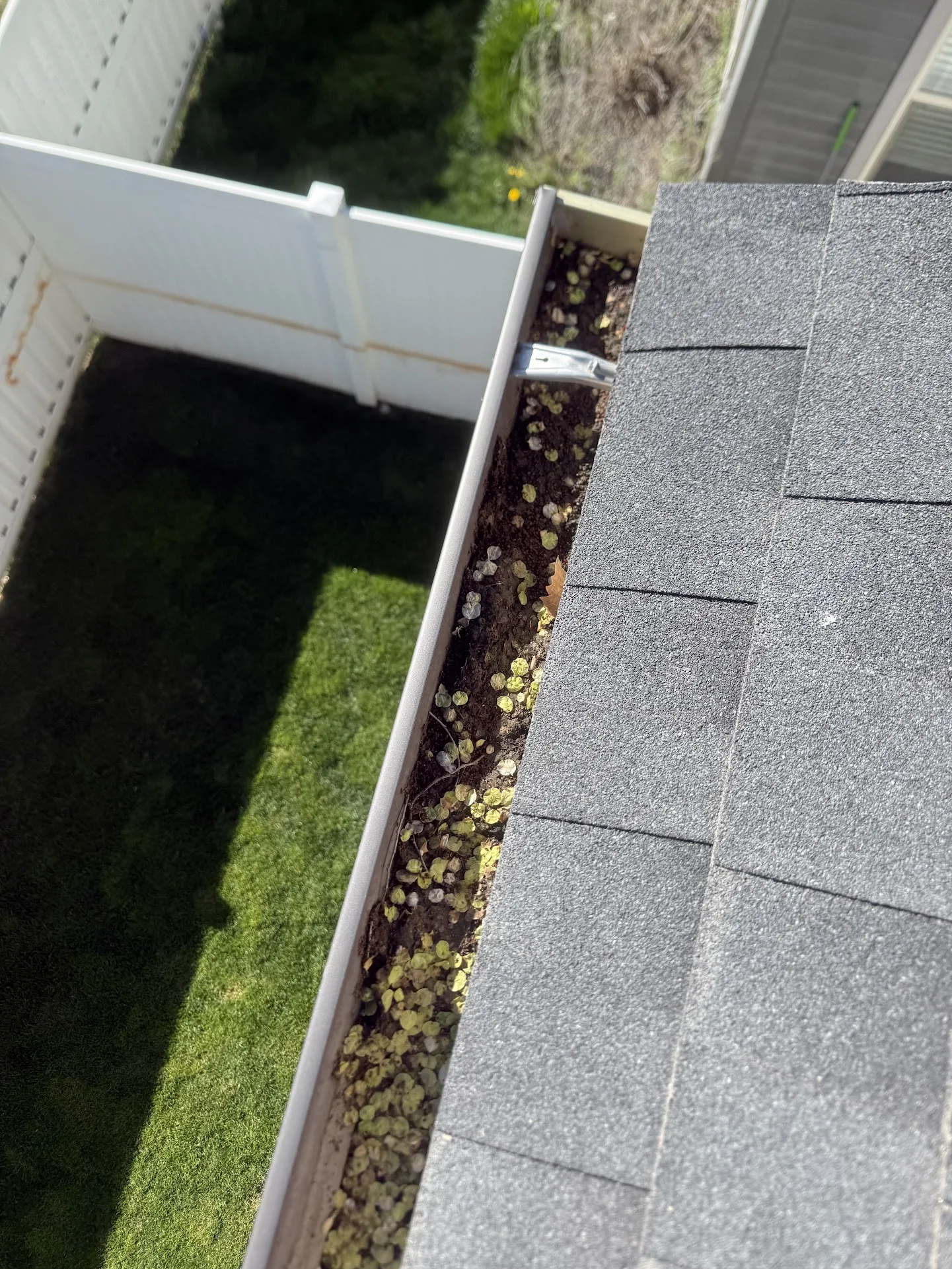 Sedum Growth in Gutter