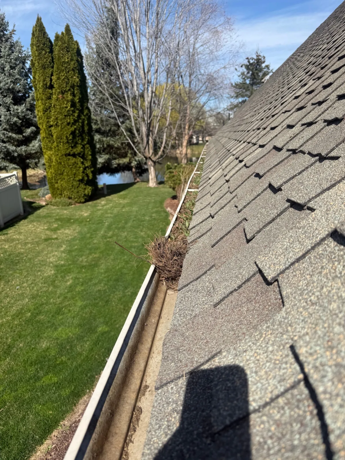 Nesting Material Cleared