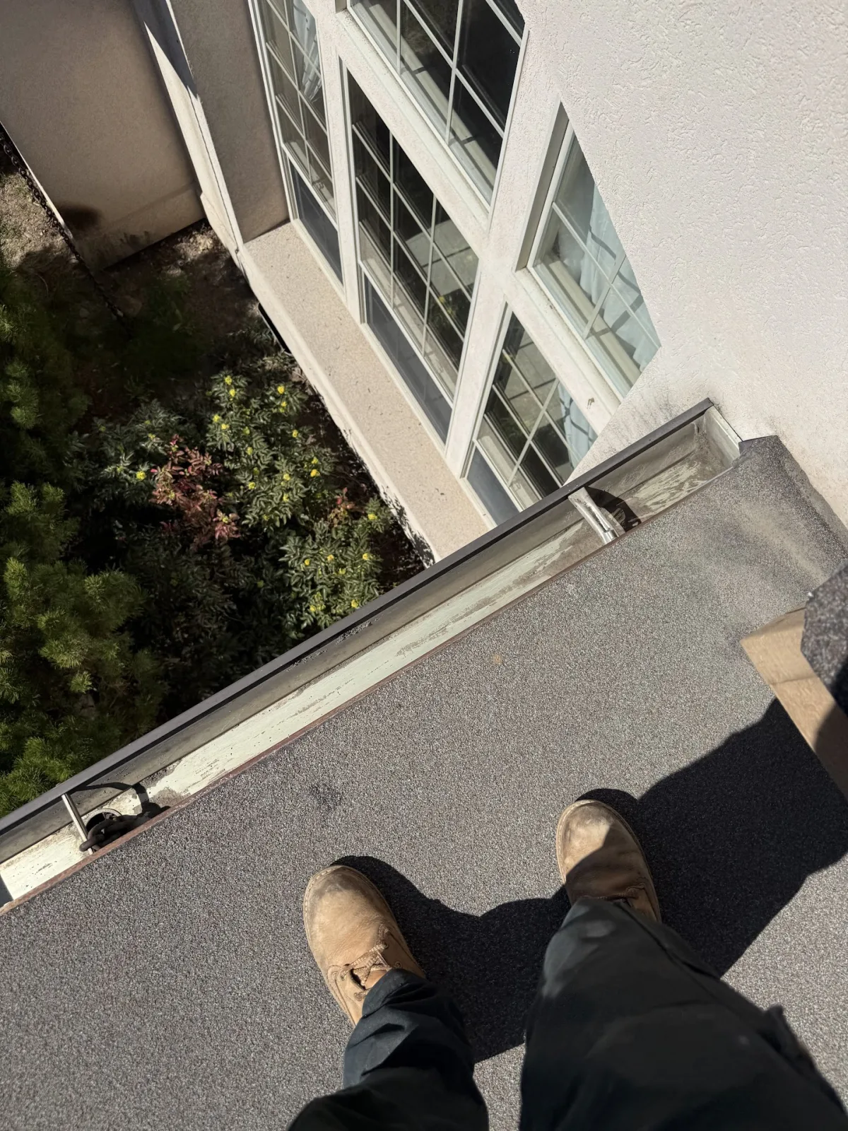 On the Roof